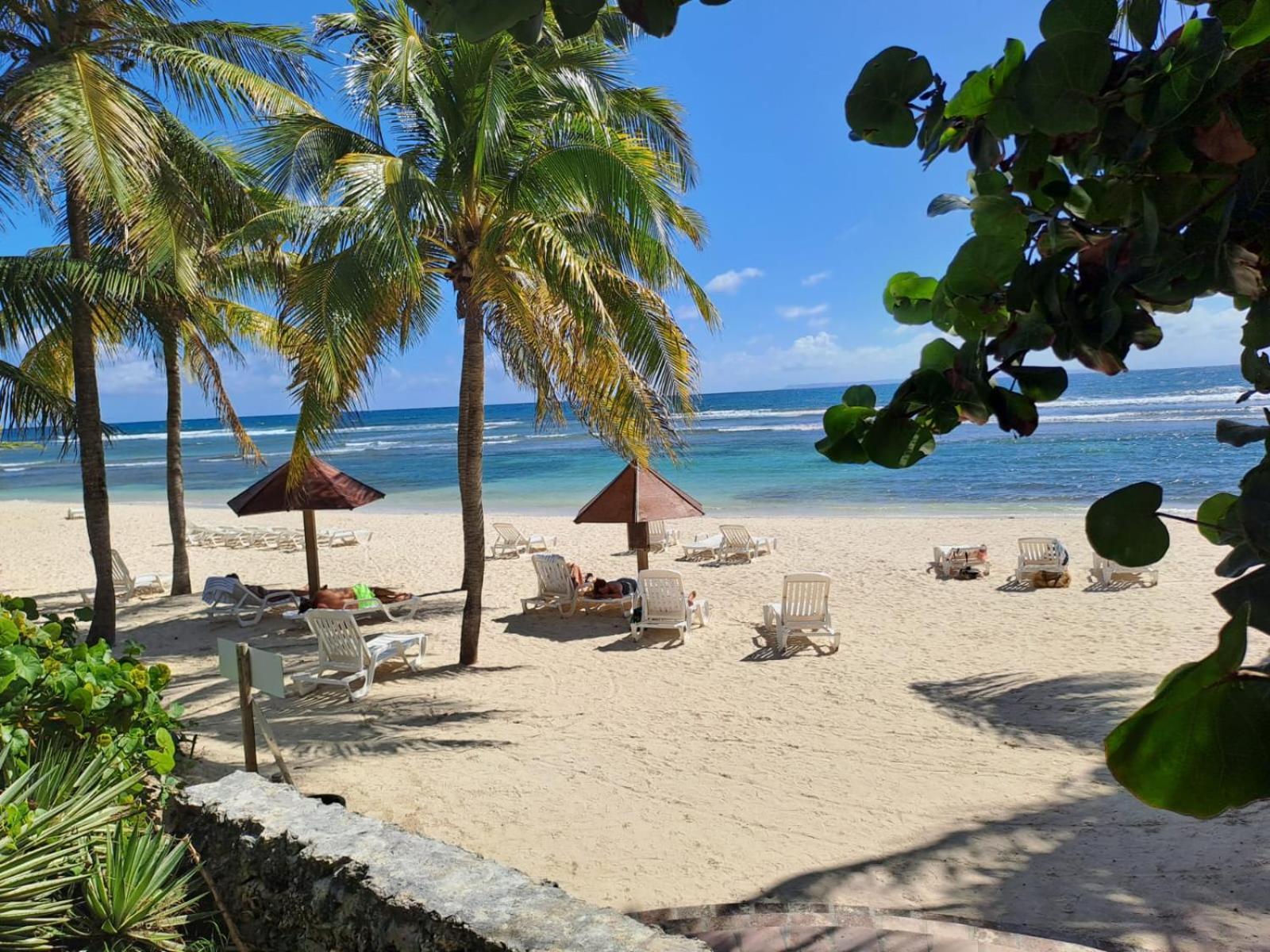 Grand Studio Vue Mer Exceptionnelle, Piscines, Plages. Sainte-Anne  Bagian luar foto