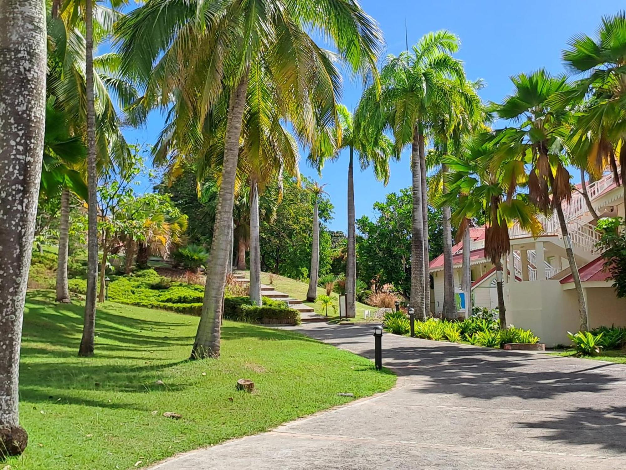Grand Studio Vue Mer Exceptionnelle, Piscines, Plages. Sainte-Anne  Bagian luar foto